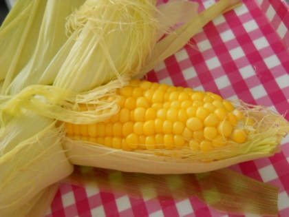 一本だけを茹でるのは面倒臭いし、夏場は暑くてイヤでしたが、これなら簡単ですね。
とってもおいしくできました。
ありがとうございました。