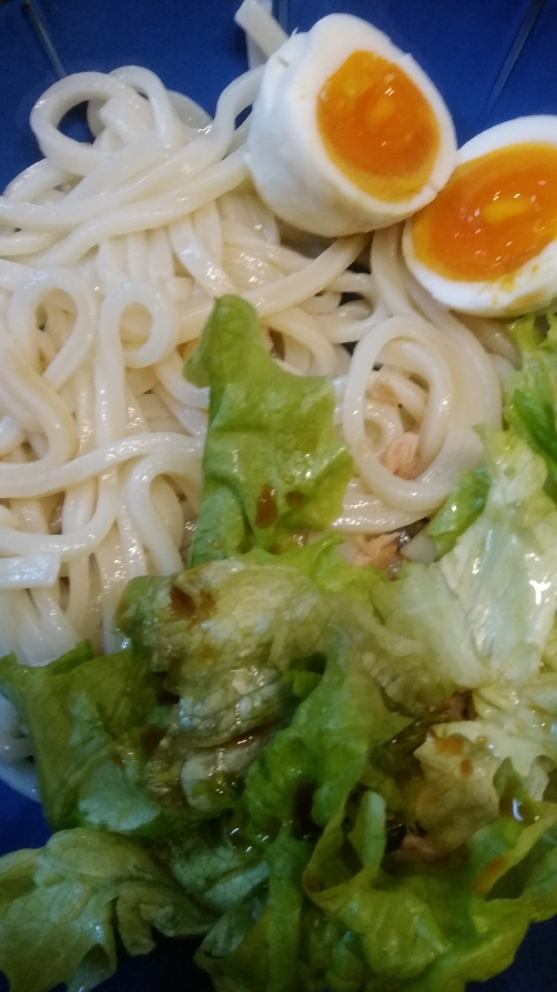 ツナサラダうどん