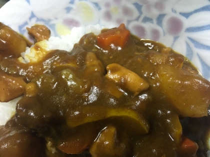 キャンプはカレー！親鶏と新玉ねぎとごぼうのカレー