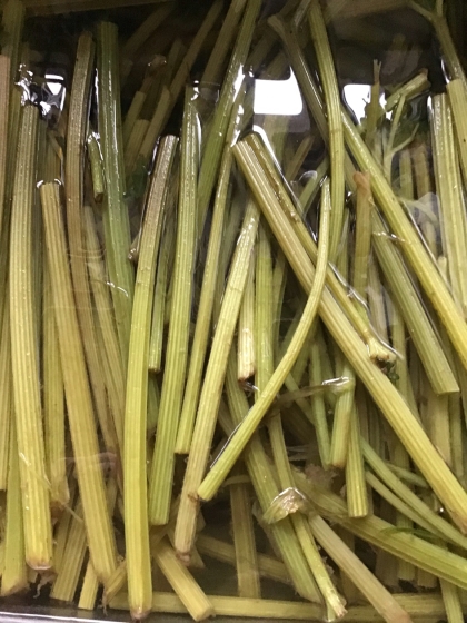 硬い蕗も軟らか 蕗のアク抜き レシピ 作り方 By ブルーボリジ 楽天レシピ 硬い蕗も軟らか 蕗のアク抜き レシピ 作り方 By ブルーボリジ 楽天レシピ