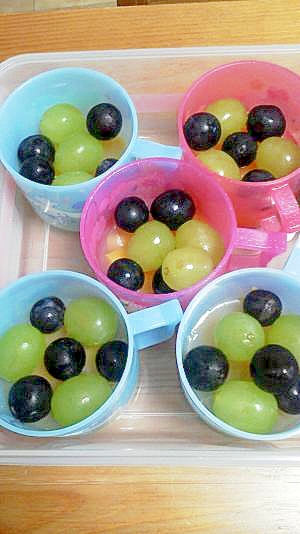 美味 ピクニックに ブドウと寒天のデザート レシピ 作り方 By ぱぱんぱんぱん 楽天レシピ 美味 ピクニックに ブドウと寒天のデザート レシピ 作り方 By ぱぱんぱんぱん 楽天レシピ