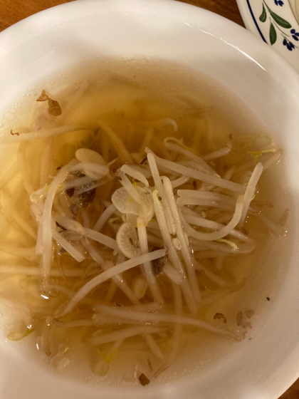 簡単旨味の鳥スープ