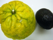 鬼ゆずのはちみつジャム レシピ 作り方 By Mococo05 楽天レシピ 鬼ゆずのはちみつジャム レシピ 作り方 By Mococo05 楽天レシピ