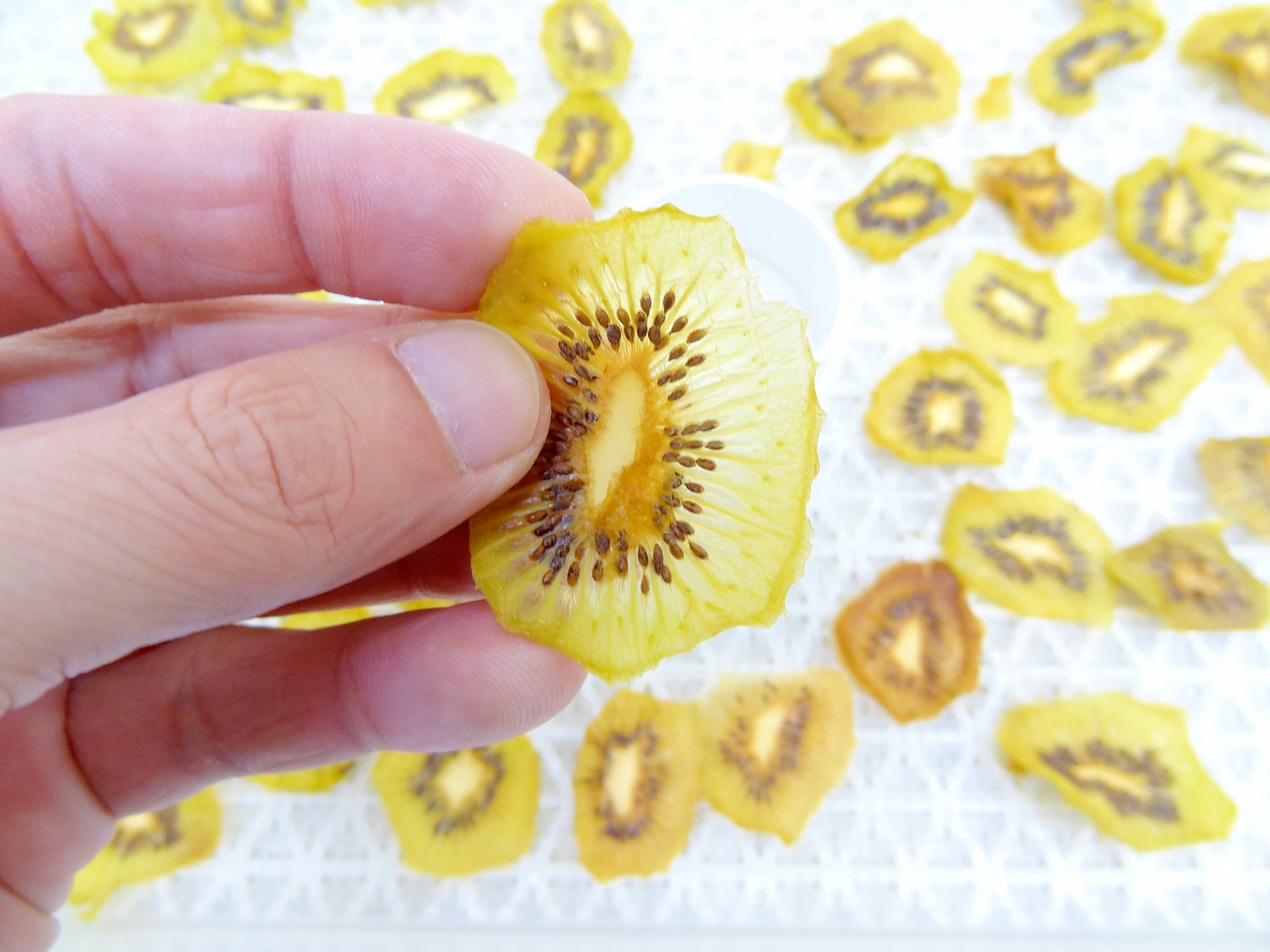 ドライフルーツメーカーで干しキウイの作り方