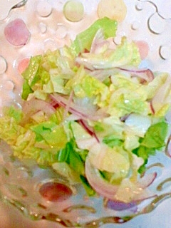 紫玉ねぎと白菜のサラダ