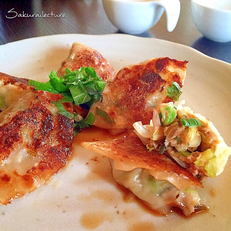 ダイエット中に激うま 春キャベツの絶品ツナ餃子 レシピ 作り方 By Sakurai Y 楽天レシピ