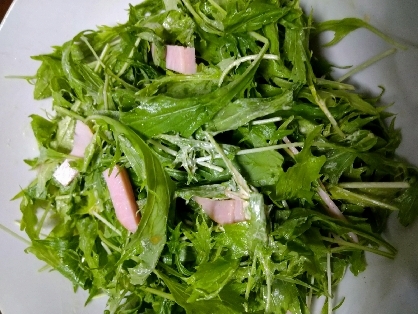 ベビー水菜で作りましたが、ドレッシングがとても美味しかったです(^o^)　サラダセロリ、いつも行くスーパーでは売ってませんでした。1度　食べてみたいです。