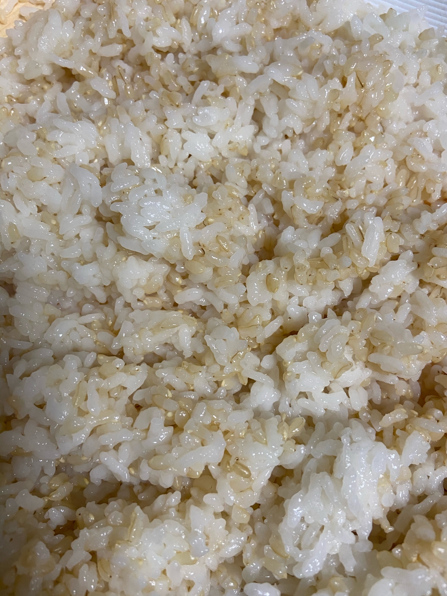 玄米＆白米で作る酢飯
