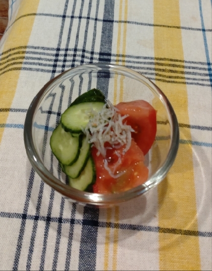 きゅうりミニトマトしらすサラダ
