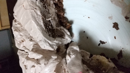 子供の誕生日ケーキに！
切った後に写真撮ってしまいました。甘すぎず美味しかったです！
また作ります！