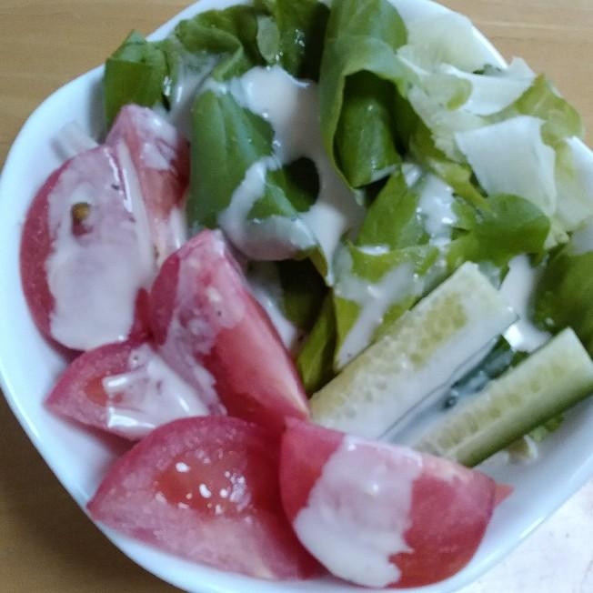 トマトとサラダ菜とレタスと胡瓜のサラダ