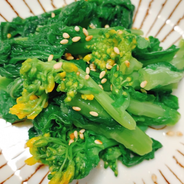 今が旬 菜の花の辛子和え レシピ 作り方 By Tweemy 楽天レシピ 今が旬 菜の花の辛子和え レシピ 作り方 By Tweemy 楽天レシピ