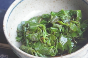 あかざのおひたし レシピ 作り方 By 和土 楽天レシピ あかざのおひたし レシピ 作り方 By 和土 楽天レシピ