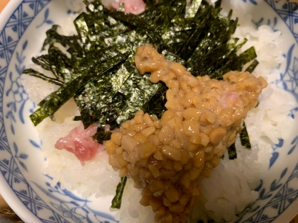 簡単！なっとろ丼