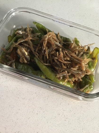 甘長唐辛子とじゃこのたいたん 万願寺でも伏見でも レシピ 作り方 By ヒツジの国 楽天レシピ