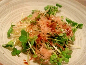 長持ち かいわれ大根の冷蔵保存方法 レシピ 作り方 By 新米幸せママ 楽天レシピ 長持ち かいわれ大根の冷蔵保存方法 レシピ 作り方 By 新米幸せママ 楽天レシピ