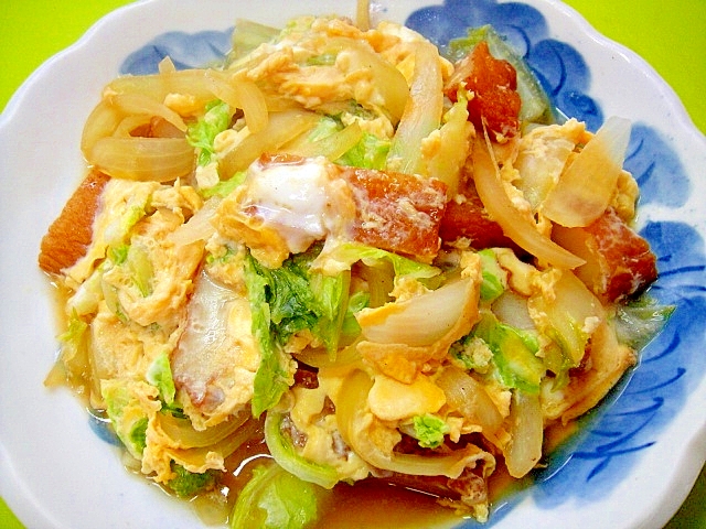 白菜とさつまあげ玉ねぎの卵とじ