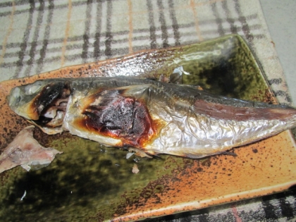 鯵の塩焼き(^-^)焼いただけですよ‼︎