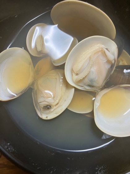15分で砂抜き！当日間に合う！蛤のお吸い物（潮汁）