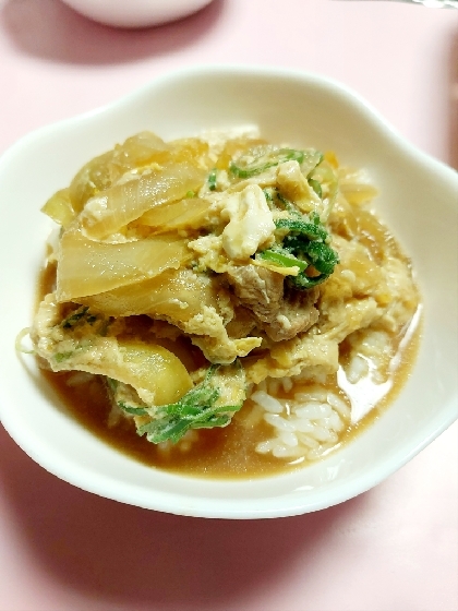 色々レタスの親子丼