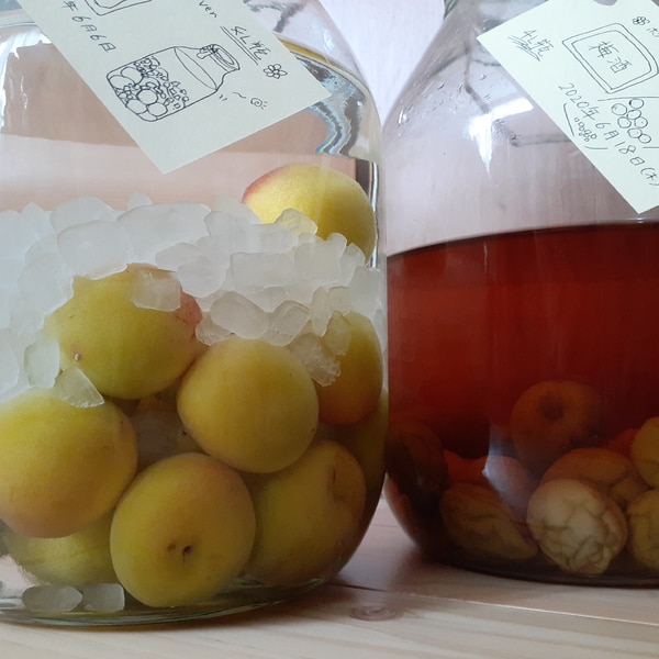 梅雨前に 4l瓶で梅酒作り レシピ 作り方 By アラレぽ 育児奮闘中お母ぁの飯 楽天レシピ 梅雨前に 4l瓶で梅酒作り レシピ 作り方 By アラレぽ 育児奮闘中お母ぁの飯 楽天レシピ