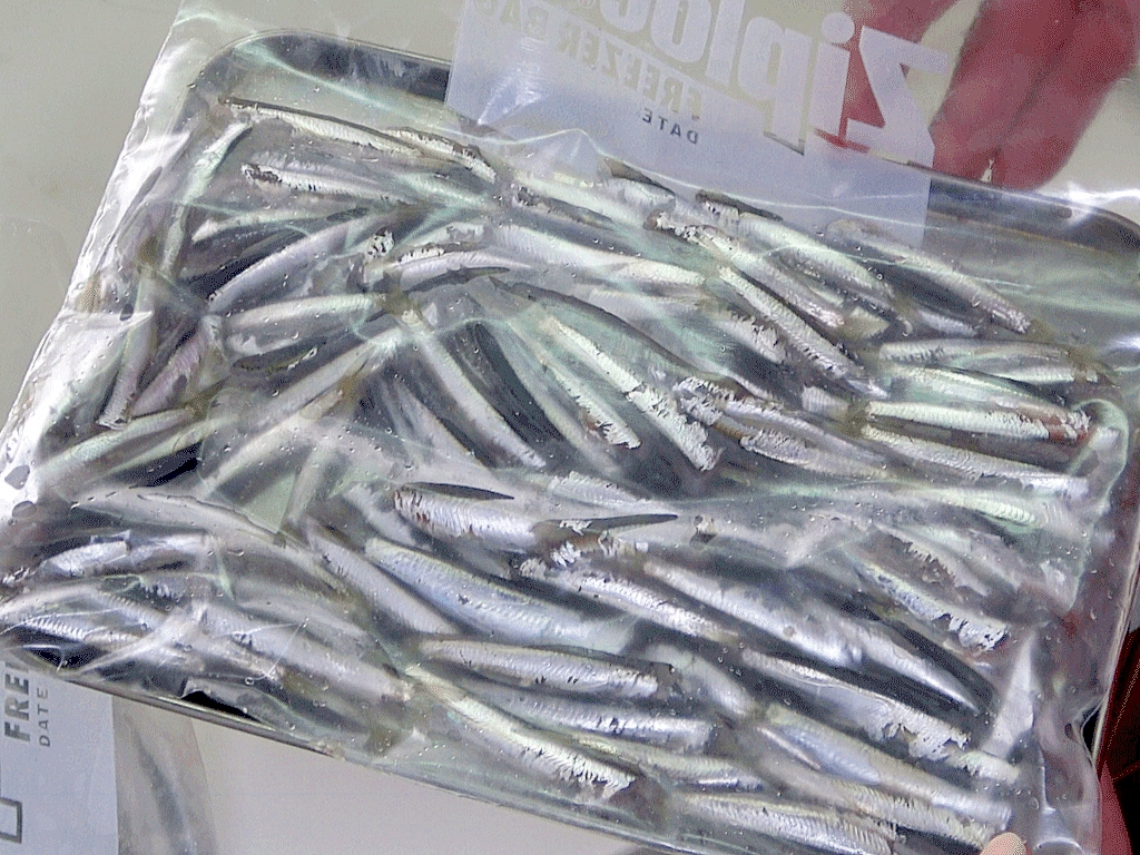 カタクチイワシレシピ 作り方の人気順 簡単料理の楽天レシピ カタクチイワシレシピ 作り方の人気順 簡単料理の楽天レシピ