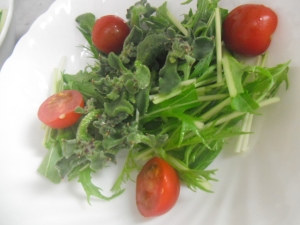 水菜とアイスプラントのサラダ