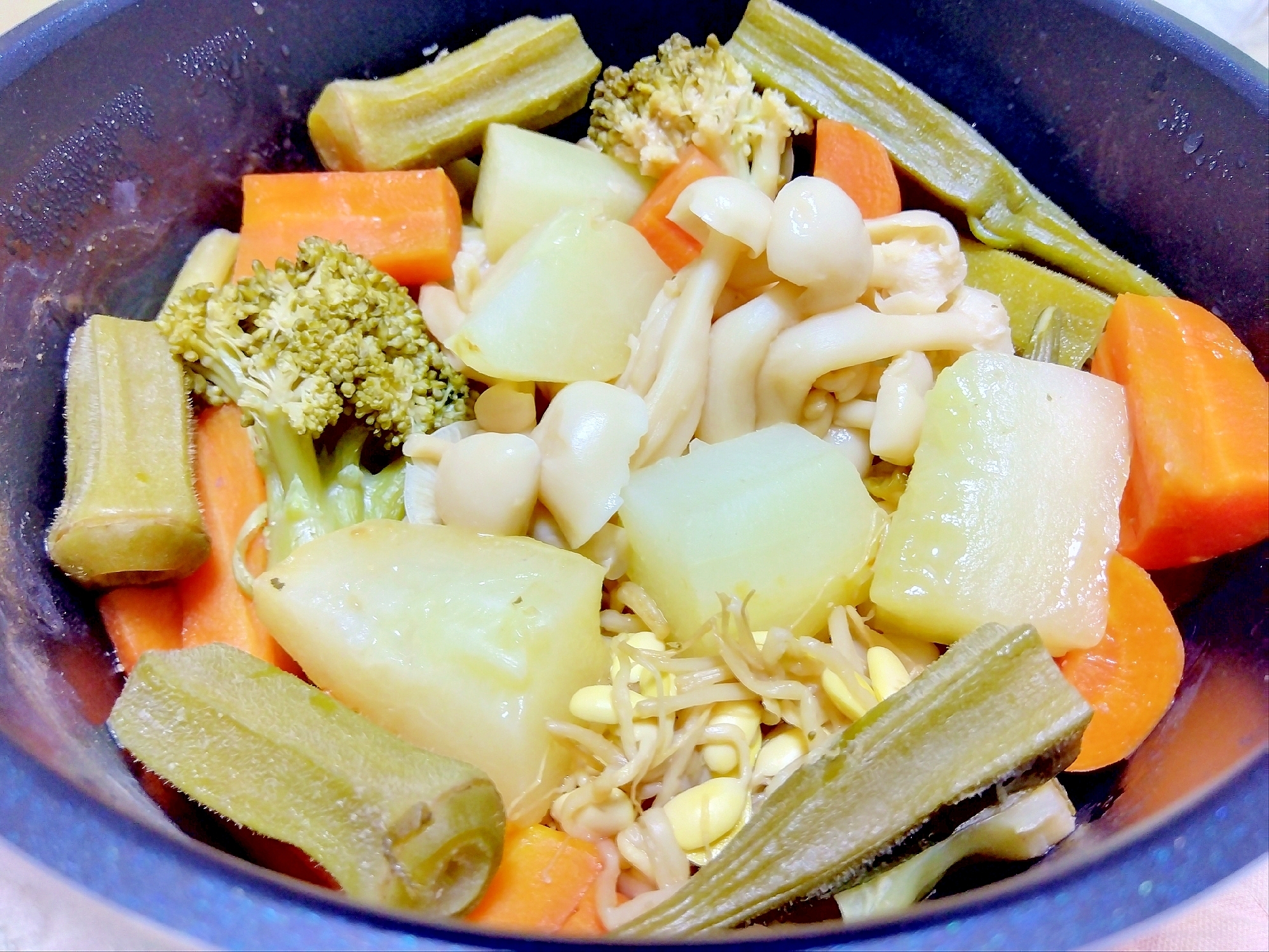 彩り野菜のフリーズドライ味噌汁煮込み