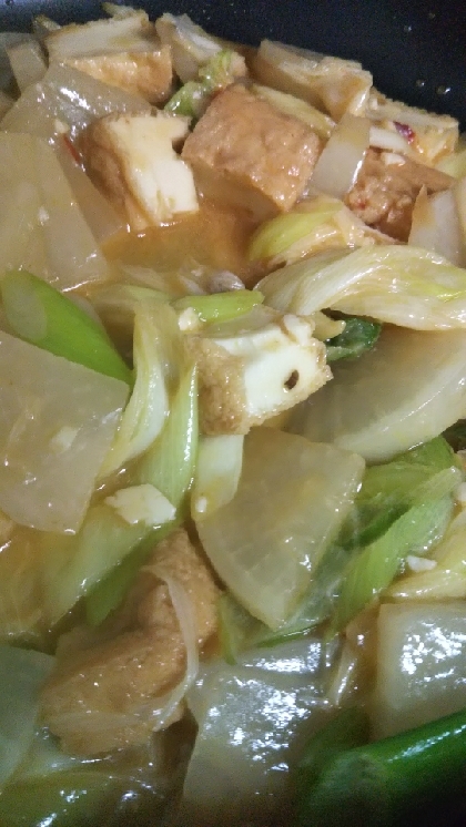 厚揚げと大根の麻婆豆腐風