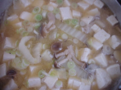 白菜とシメジと豆腐のお味噌汁