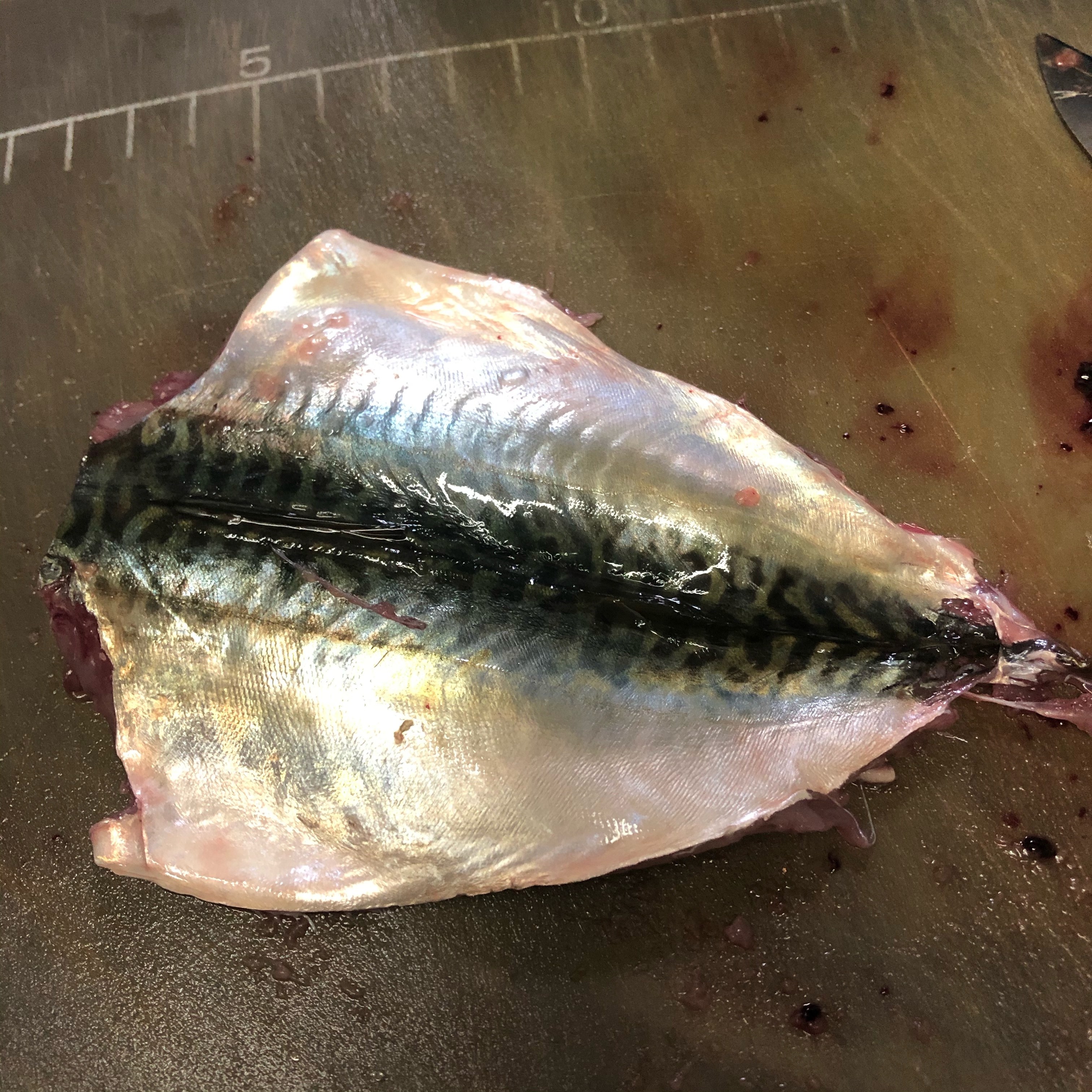 釣った小鯖で 鯖の蒲焼き レシピ 作り方 By Miri 楽天レシピ 釣った小鯖で 鯖の蒲焼き レシピ 作り方 By Miri 楽天レシピ