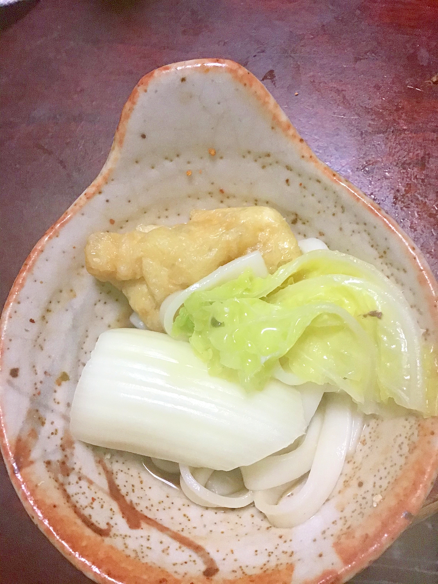 揚げと下仁田葱と白菜ときしめんの水炊き。