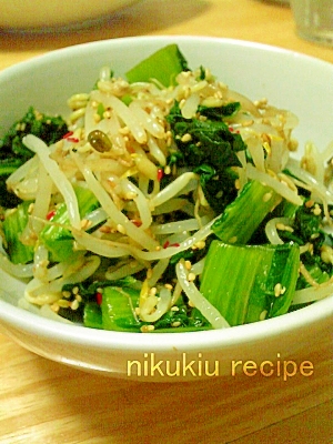 簡単おいしい!青高菜ともやしのナムル