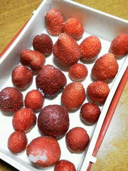 祖父が育てた無農薬イチゴを貰ったので冷凍イチゴにもﾁｬﾚﾝｼﾞ!
これで、スムージー作ってみますね♪
