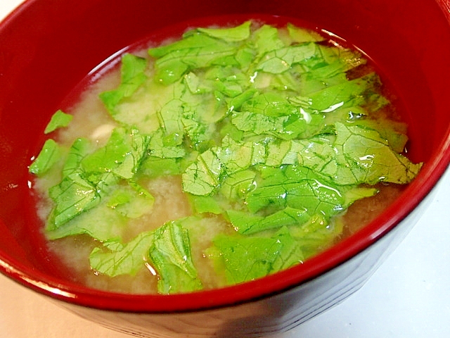 貝だしで　レタスと大豆の美的お味噌汁♬