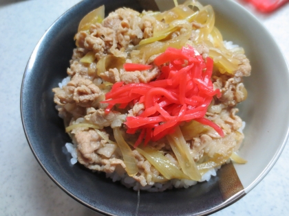 つゆ～たっぷり我が家の☆牛丼