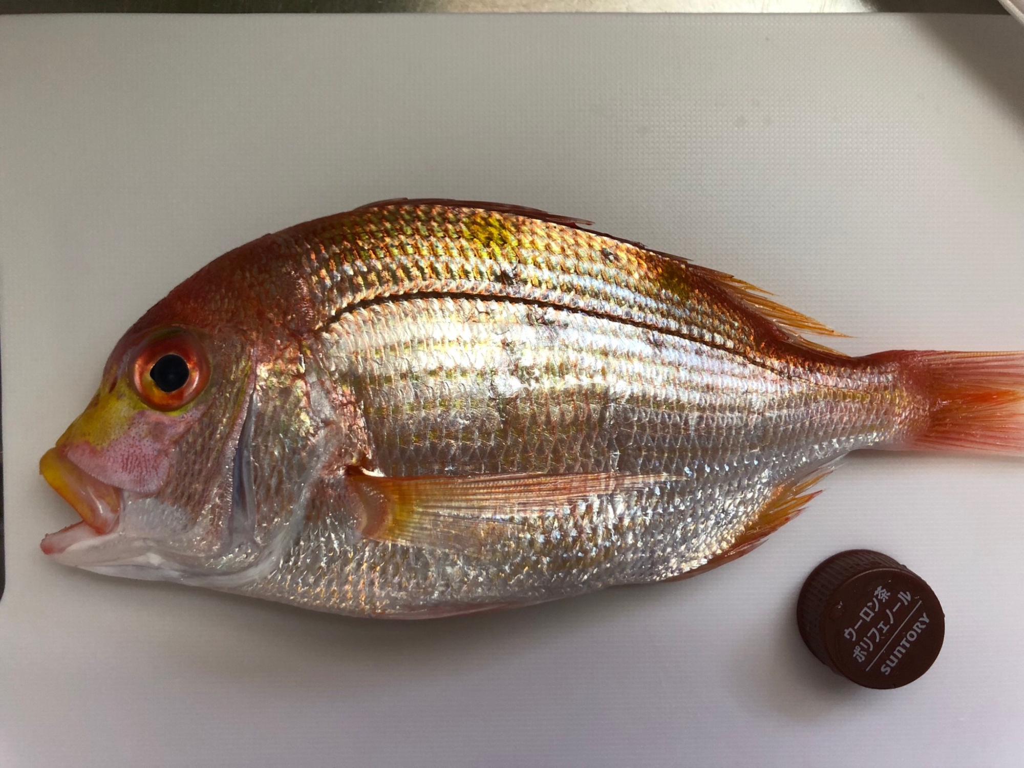 魚の下処理 うろこ 内臓 エラの処理 レシピ 作り方 By まあちゃんまま 楽天レシピ 魚の下処理 うろこ 内臓 エラの処理 レシピ 作り方 By まあちゃんまま 楽天レシピ