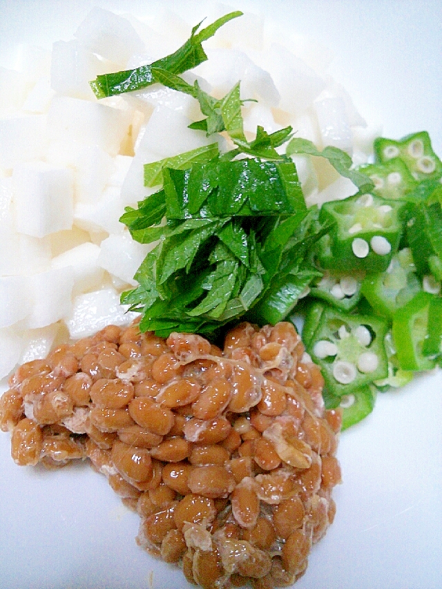 さっぱりネバネバ丼