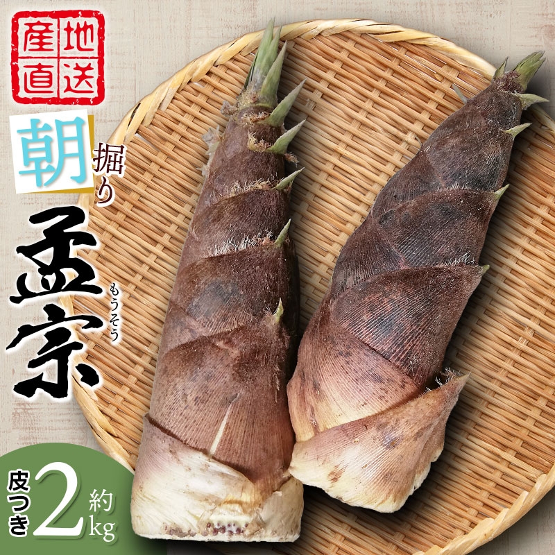 産地直送！朝堀り孟宗（皮つき）約2kg　採れたて筍