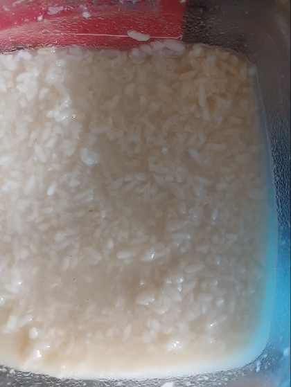 お米不要・米麹のみ★炊飯器で甘酒