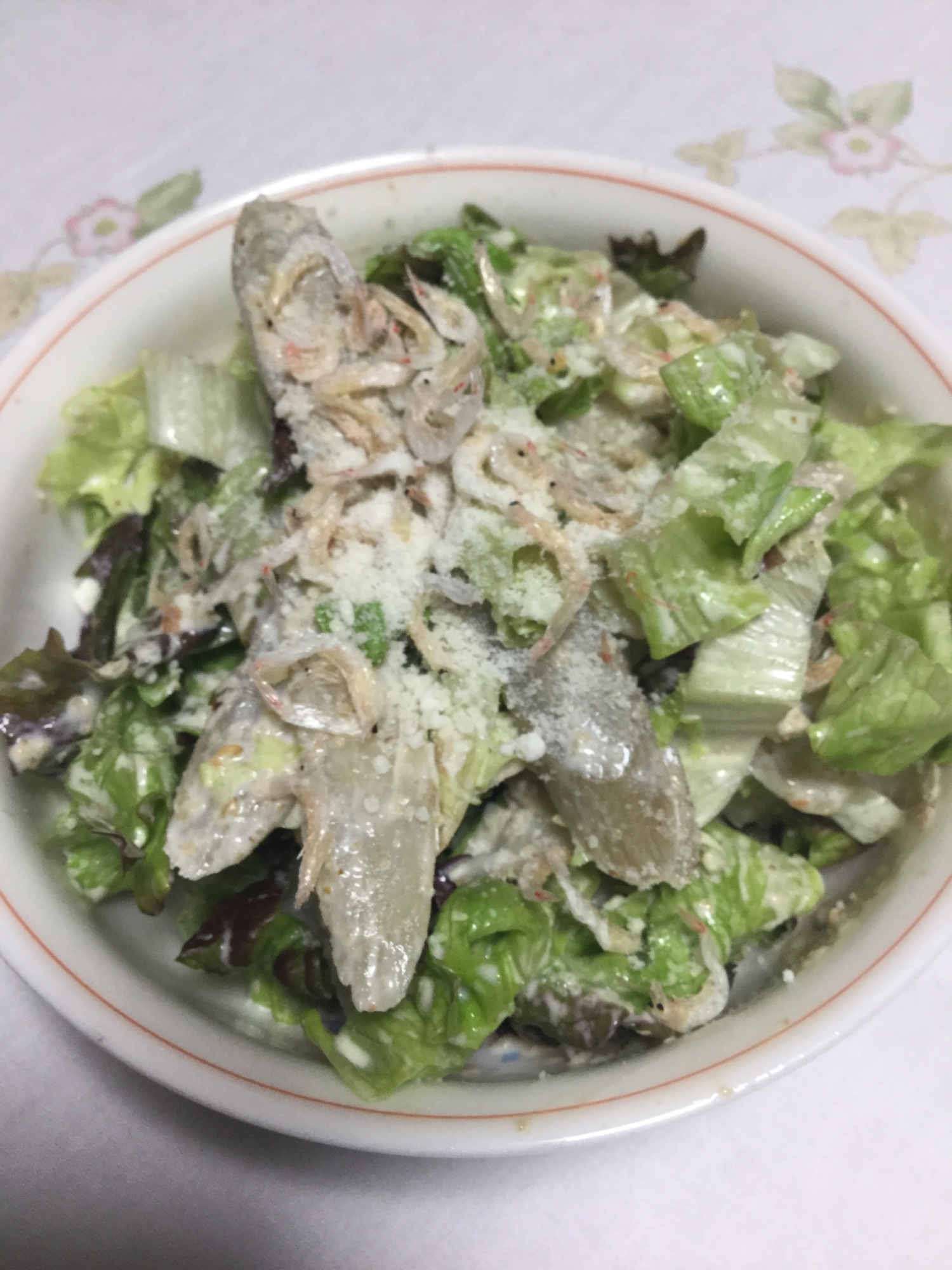 ごぼうとサニーレタスのサラダチーズ風味