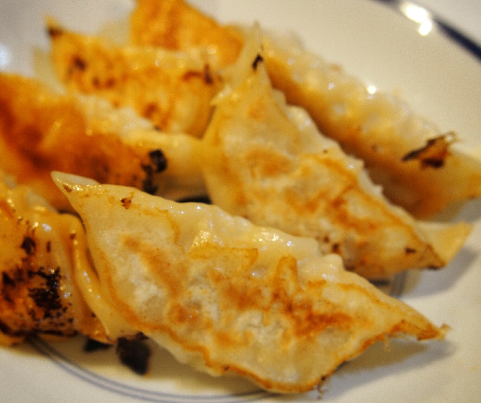 白い皿に盛り付けた豆腐入りキャベツ餃子