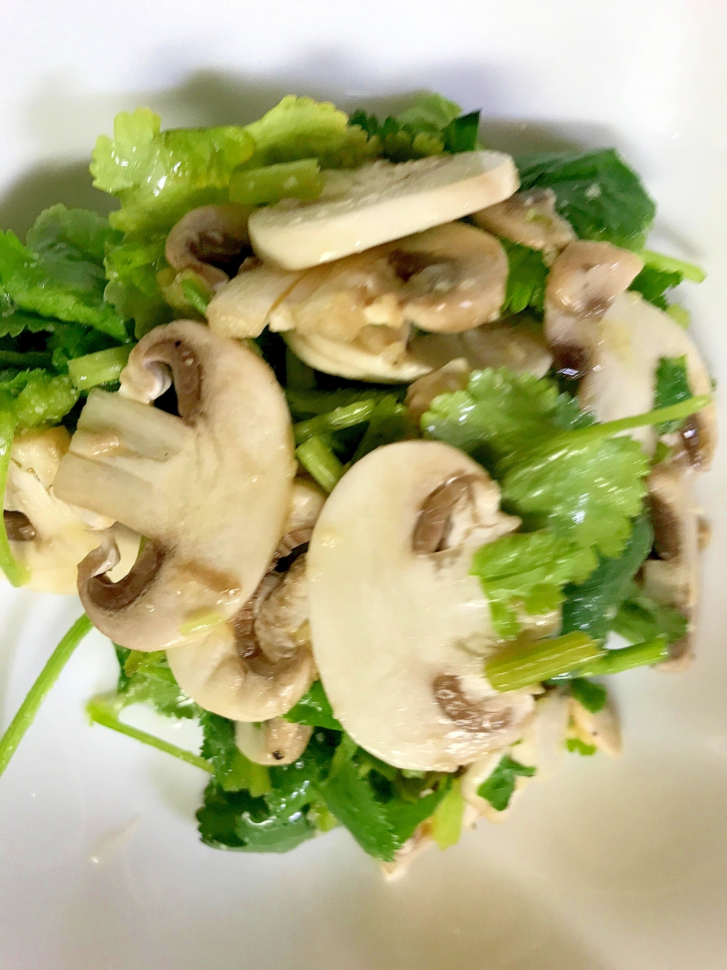 生マッシュルームとパクチーのフレッシュサラダ