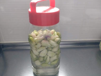 ♦️発酵で栄養価高い『本漬け』で作るらっきょう漬け