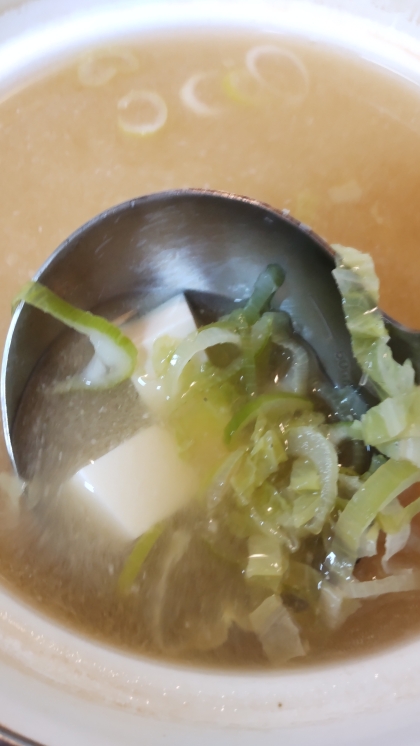 長ねぎ・豆腐・白菜の味噌汁