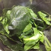 離乳食 レンジで簡単 ほうれん草 冷凍保存 レシピ 作り方 By Pmam J 楽天レシピ 離乳食 レンジで簡単 ほうれん草 冷凍保存 レシピ 作り方 By Pmam J 楽天レシピ