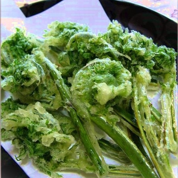 春の山菜 こごみの天ぷら レシピ 作り方 By はなまる子 楽天レシピ 春の山菜 こごみの天ぷら レシピ 作り方 By はなまる子 楽天レシピ