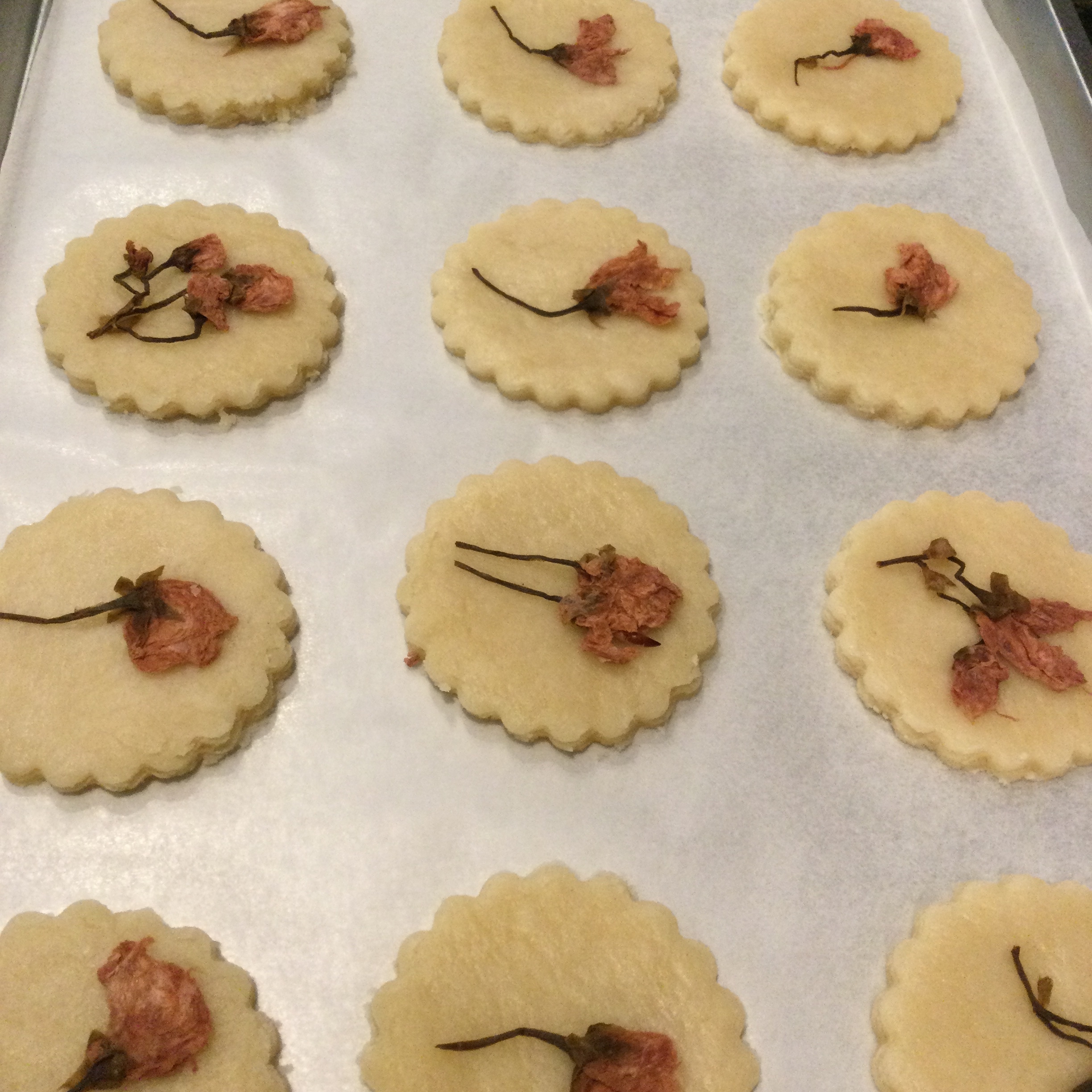 海外映え 押し花のような桜のクッキー レシピ 作り方 By Honeybee 楽天レシピ 海外映え 押し花のような桜のクッキー レシピ 作り方 By Honeybee 楽天レシピ