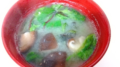 椎茸ベビーリーフ水菜の味噌汁