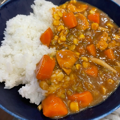 ゴーヤとトマトのカレー